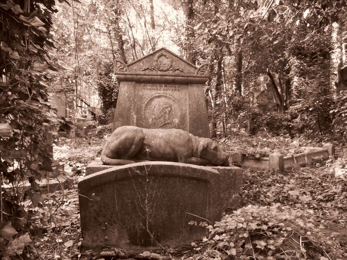Haunted Cemeteries (11 pics)