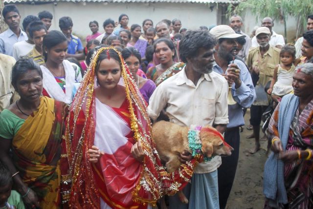 Indian Girl Marries a Dog (13 pics)