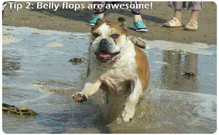 The 7 Most Important Parts Of A Beach Trip For A Dog (7 pics)