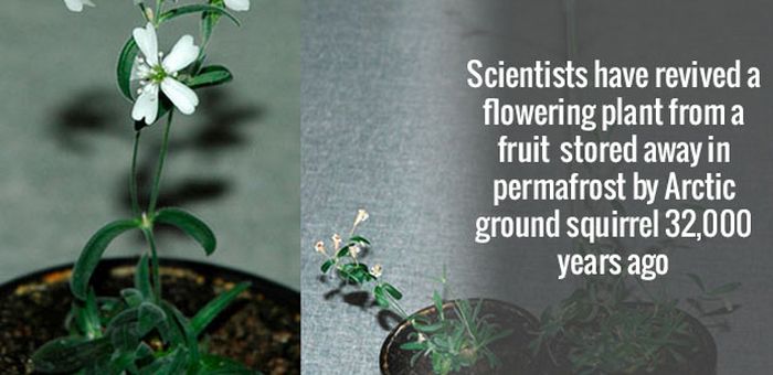 Science Facts That Will Blow Your Mind (19 pics)