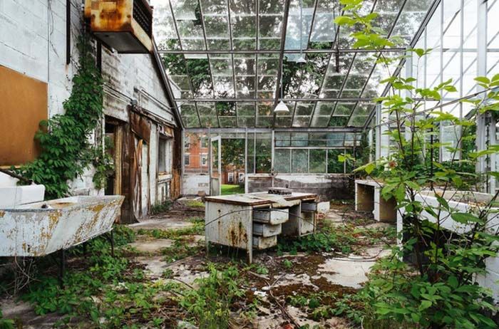 Abandoned Asylums Are Creepy Yet Somehow Beautiful (23 pics)
