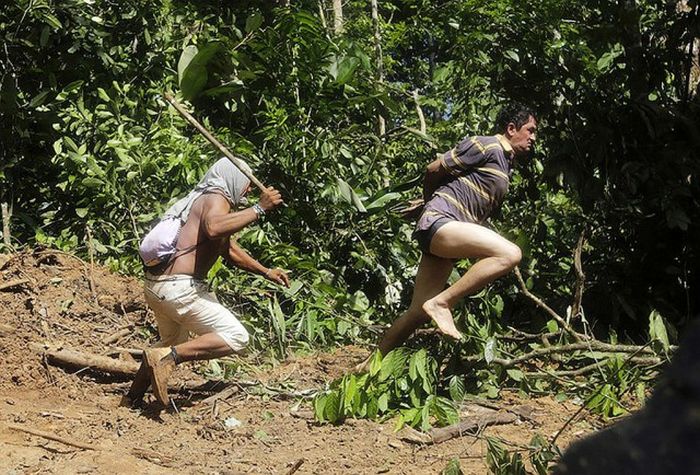 Citizens Of The Amazon Jungle Go To War With Loggers (20 pics)