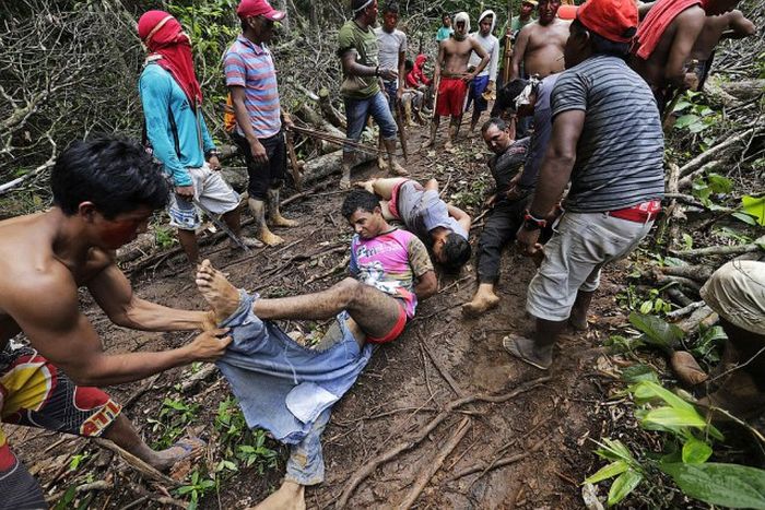 Citizens Of The Amazon Jungle Go To War With Loggers (20 pics)