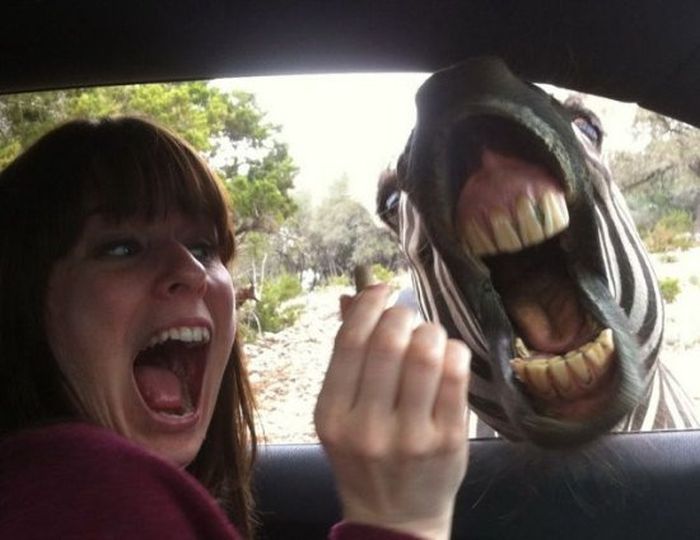 Acid Picdump (110 pics)