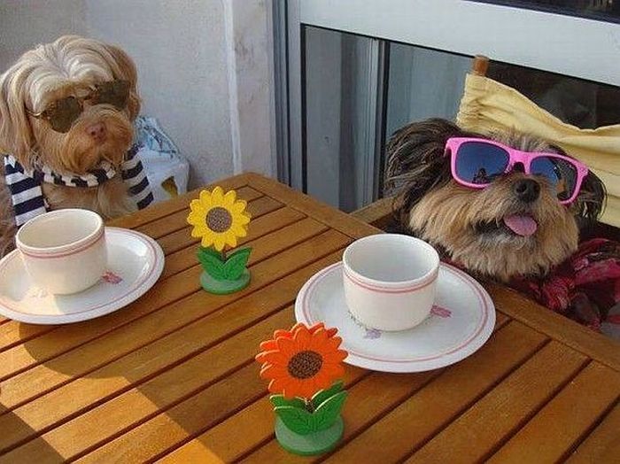 Acid Picdump (110 pics)