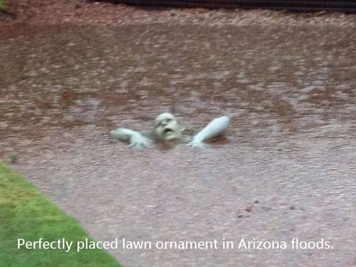 Acid Picdump (110 pics)