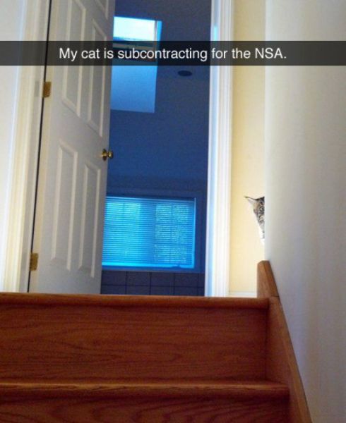 Acid Picdump (110 pics)
