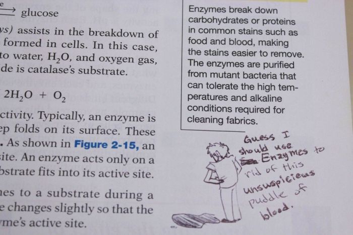 Hilarious Drawings Make Text Books Better (25 Pics)