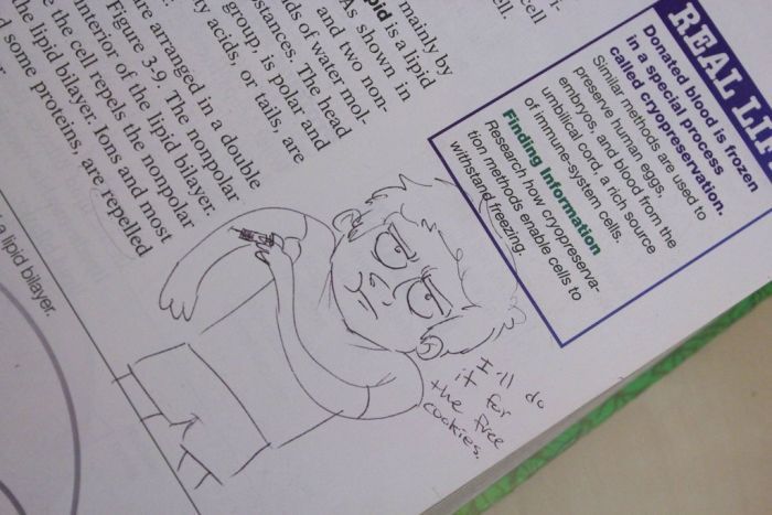 Hilarious Drawings Make Text Books Better (25 Pics)