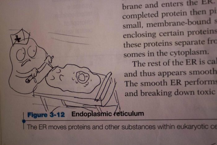 Hilarious Drawings Make Text Books Better (25 Pics)