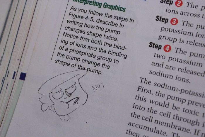 Hilarious Drawings Make Text Books Better (25 Pics)