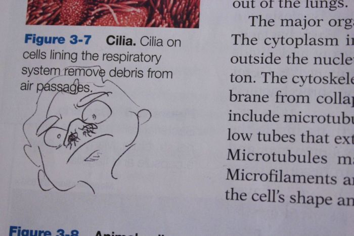 Hilarious Drawings Make Text Books Better (25 Pics)
