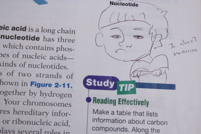 Hilarious Drawings Make Text Books Better (25 Pics)