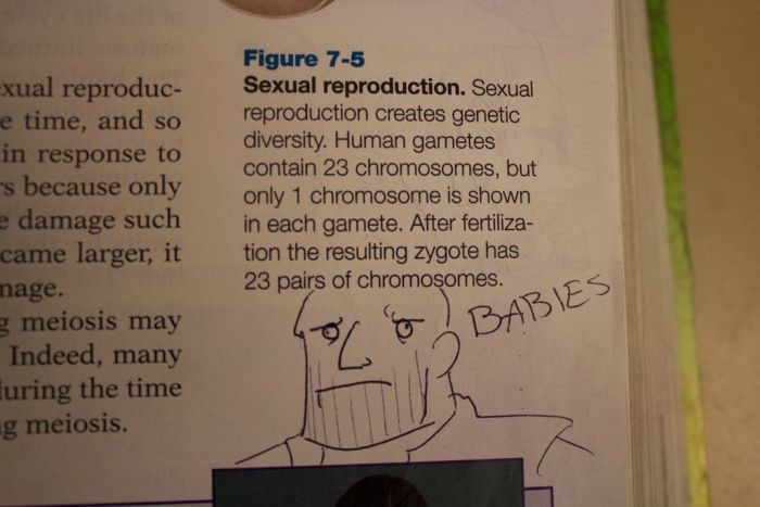 Hilarious Drawings Make Text Books Better (25 Pics)