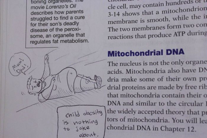 Hilarious Drawings Make Text Books Better (25 Pics)