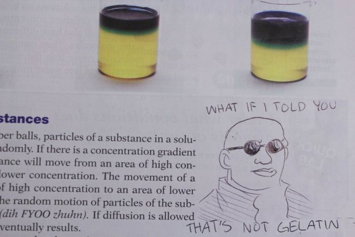 Hilarious Drawings Make Text Books Better (25 Pics)