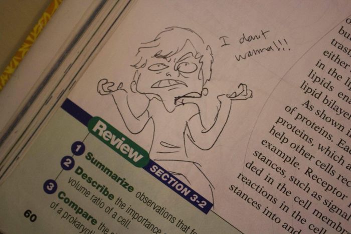 Hilarious Drawings Make Text Books Better (25 Pics)