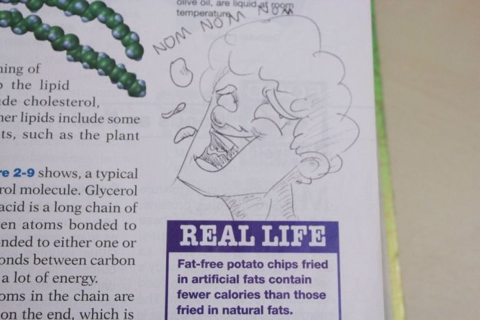Hilarious Drawings Make Text Books Better (25 Pics)