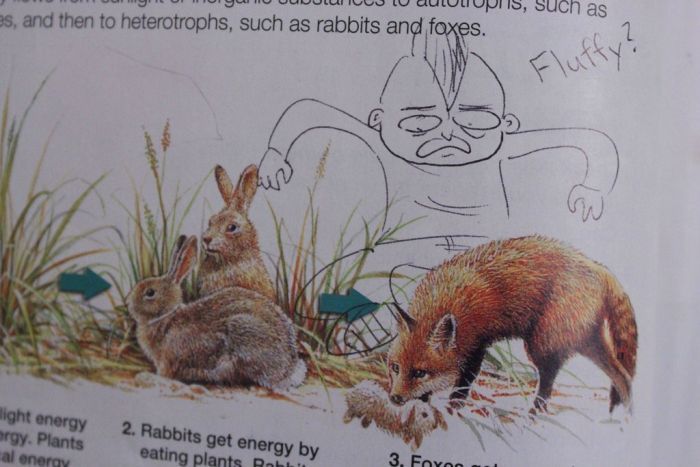 Hilarious Drawings Make Text Books Better (25 Pics)