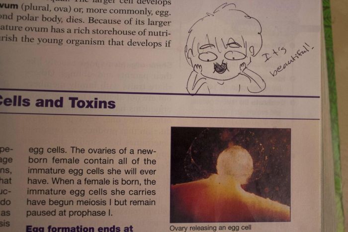 Hilarious Drawings Make Text Books Better (25 Pics)