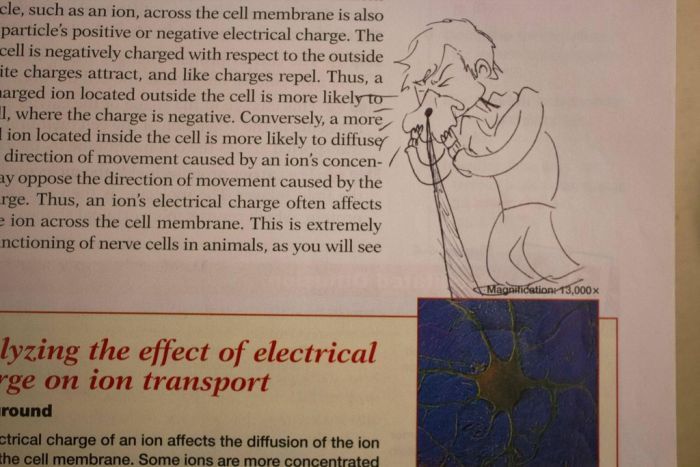 Hilarious Drawings Make Text Books Better (25 Pics)