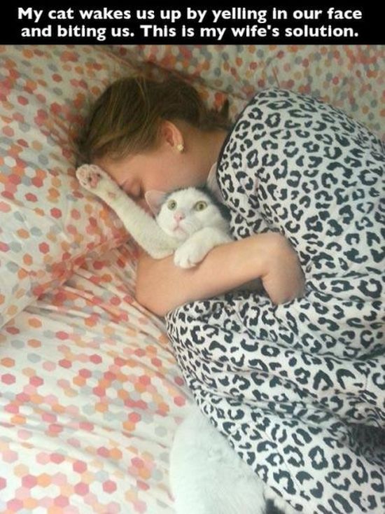 What It's Really Like To Be A Cat Owner (20 pics)