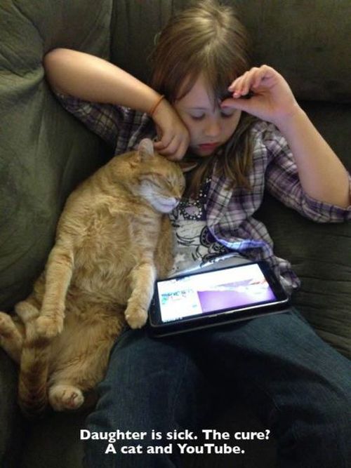 What It's Really Like To Be A Cat Owner (20 pics)