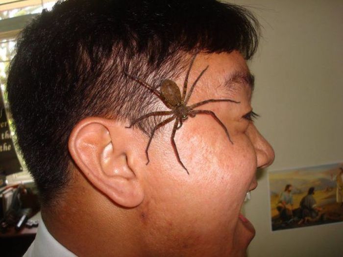 Acid Picdump (144 pics)