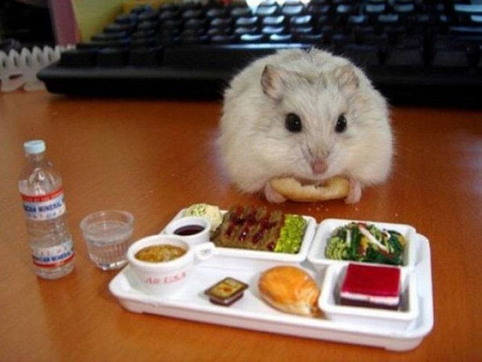 Acid Picdump (144 pics)