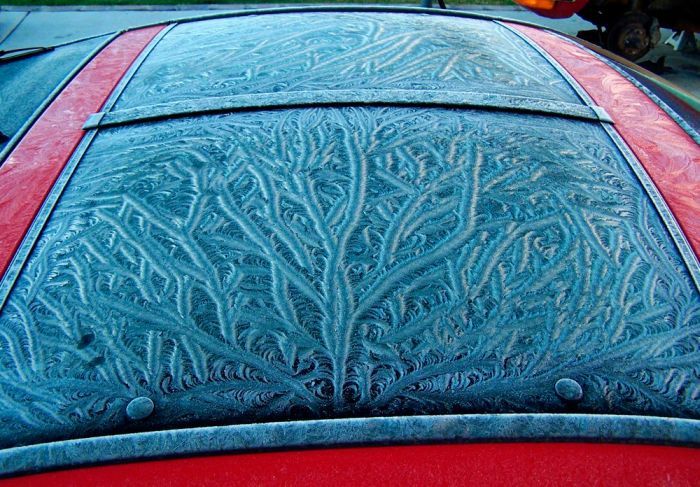 Acid Picdump (144 pics)