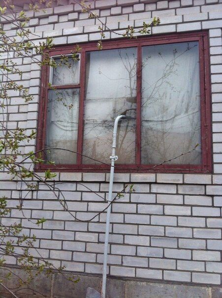 Acid Picdump (144 pics)