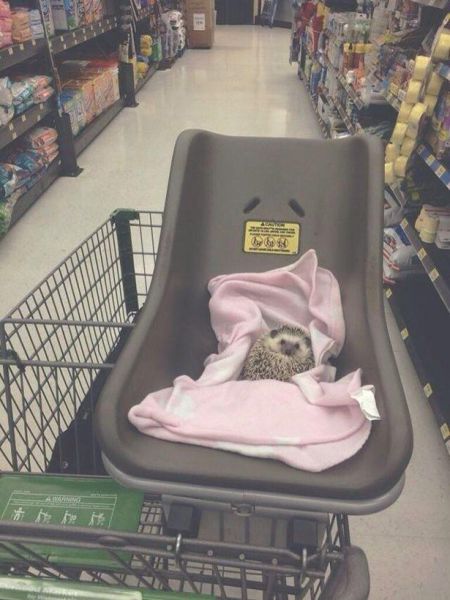 Acid Picdump (144 pics)
