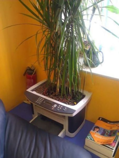Acid Picdump (144 pics)