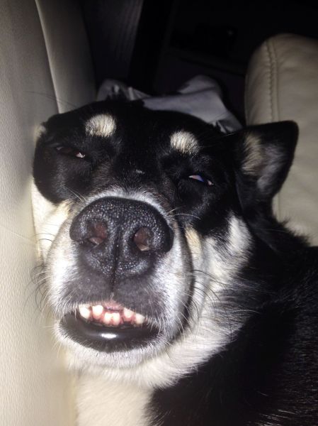Acid Picdump (144 pics)