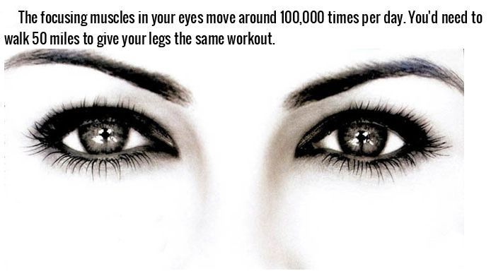 Incredible Facts About The Human Body (22 pics)
