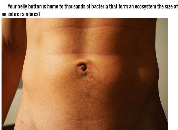 Incredible Facts About The Human Body (22 pics)
