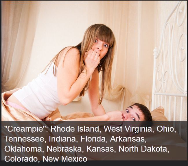What Every State Searches For The Most On PornHub (11 pics)