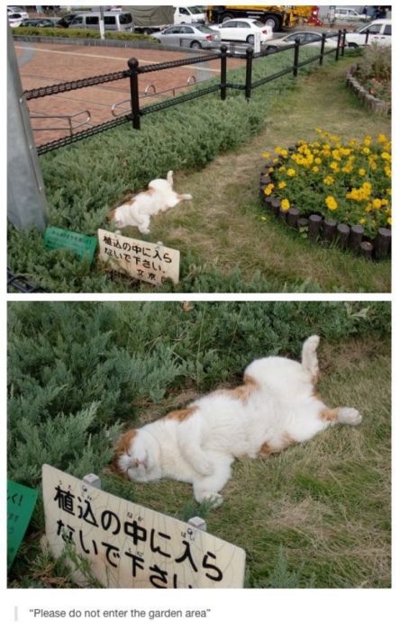 I Do What I Want. Part 41 (44 pics)