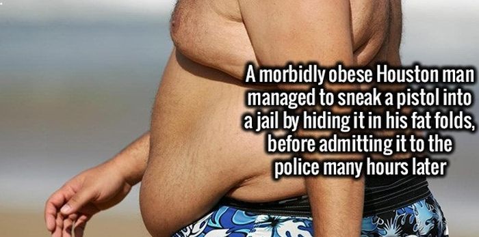 Your Brain Is Hungry And You Need To Feed It These Facts (34 pics)