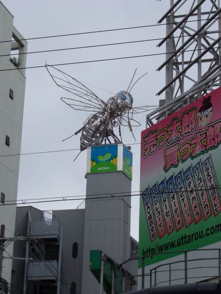 Only in Japan (55 pics)