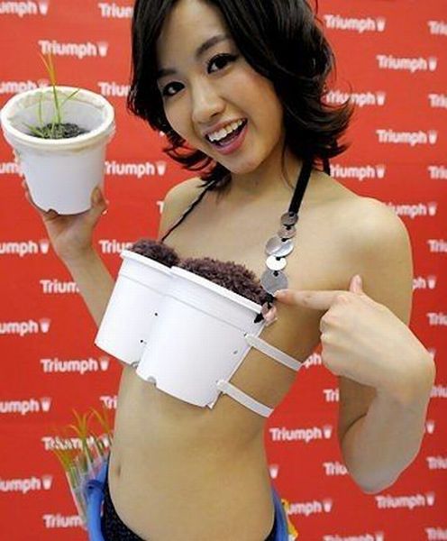 Only in Japan (55 pics)