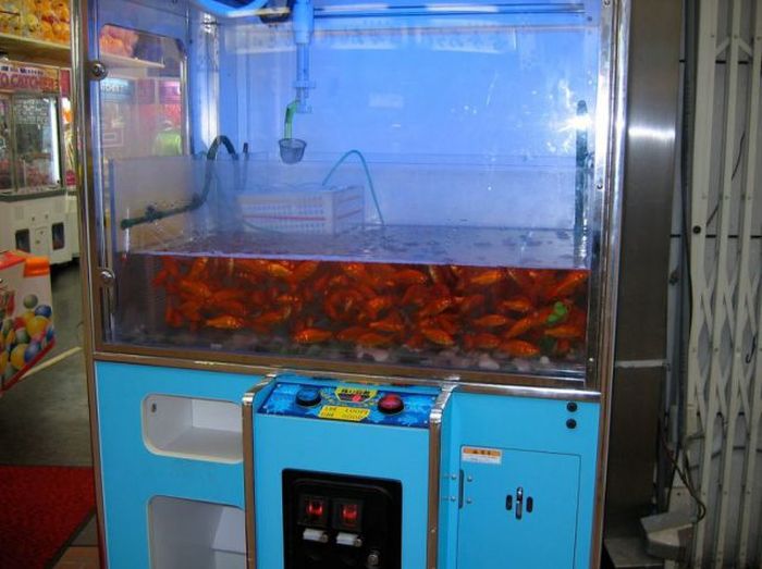 Only in Japan (55 pics)