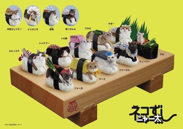 Only in Japan (55 pics)