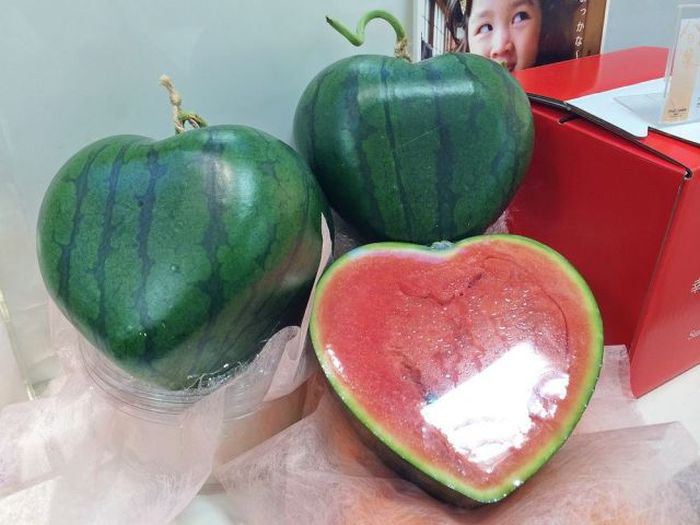 Only in Japan (55 pics)