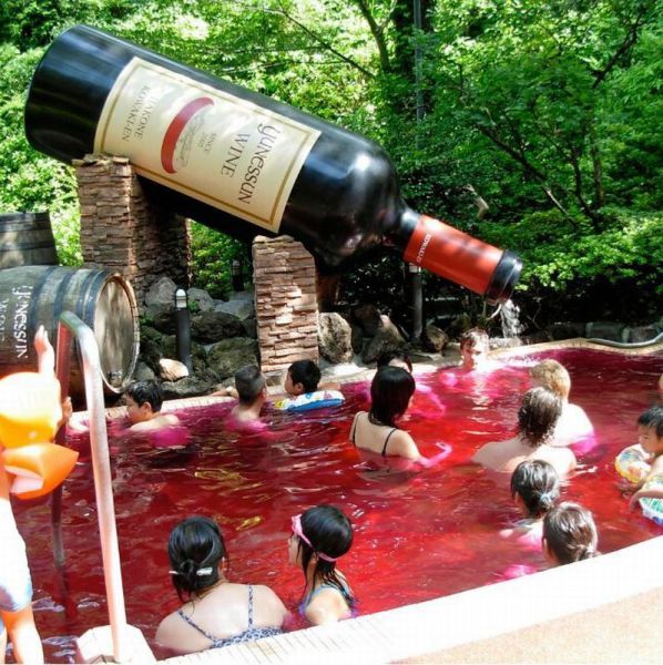 Only in Japan (55 pics)