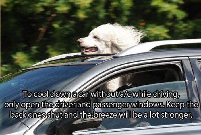 Great Tricks To Remember When Driving (32 pics)