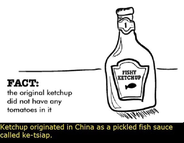 Interesting Facts You Might Not Know About China (29 pics)
