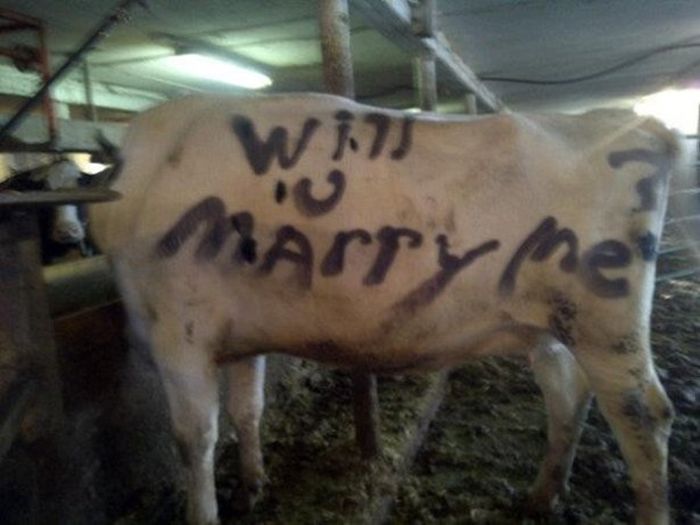 These May Be The Worst Marriage Proposals Ever (23 pics)
