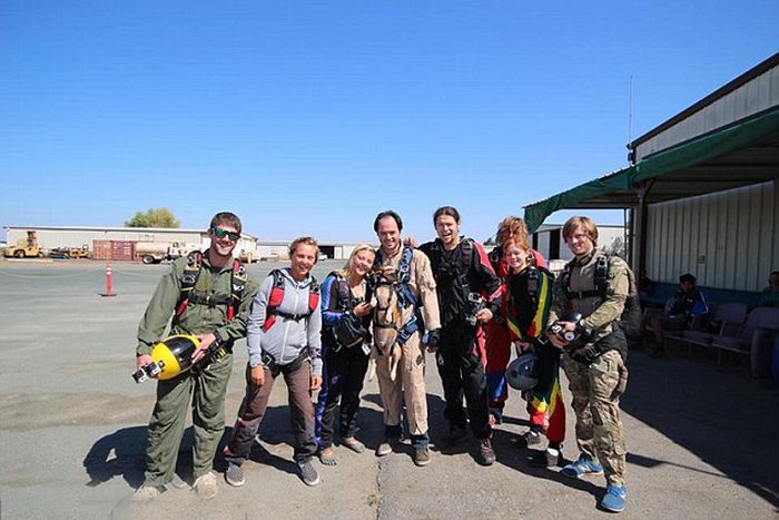 This Dog Loves To Go Skydiving (8 pics)
