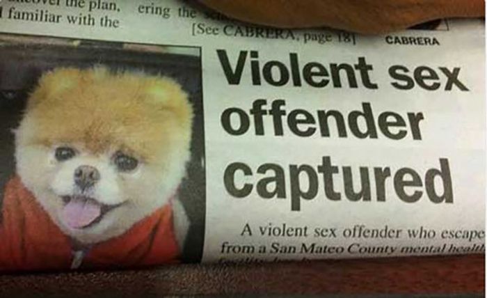Unintentionally Funny Headlines We Can T Believe Were Published Pics